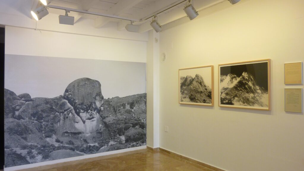 Galería Alarcón Criado