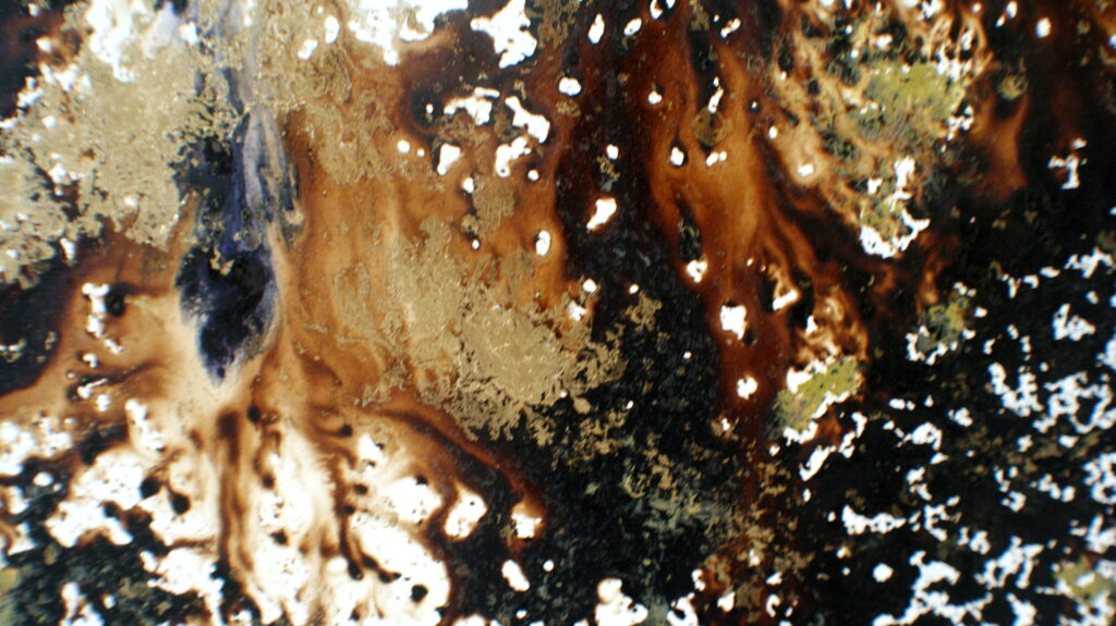 margarita-manzano-directorio-artistas-totenart