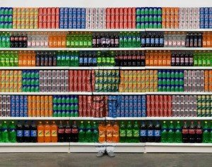 artista liu bolin camuflado en estanteria - Directorio de Noticias de totenart