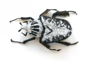 Adrienne Antonson: escarabajo blanco y negro de pelo humano