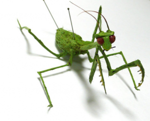Adrienne Antonson: mantis religiosa hecha de pelo humano