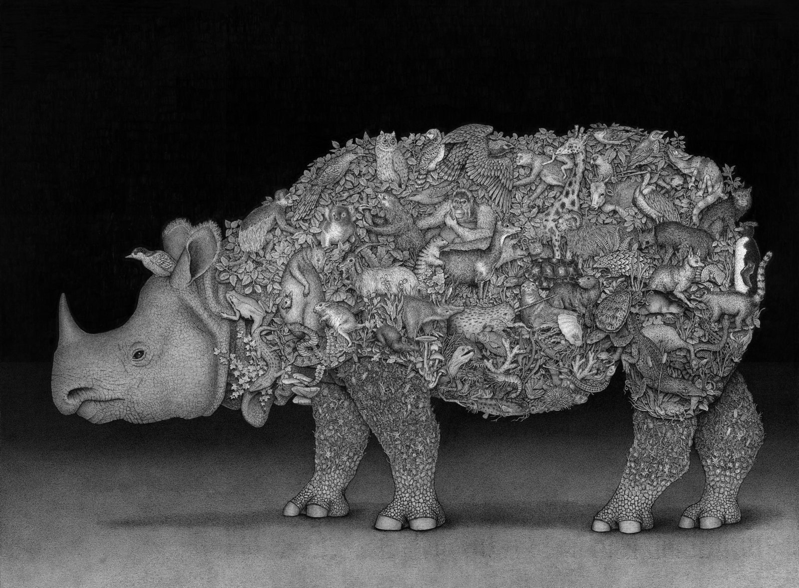 totenart-material-bellas-artes-ben-tolman-ilustracion-rinoceronte
