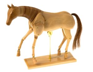 maniquí caballo