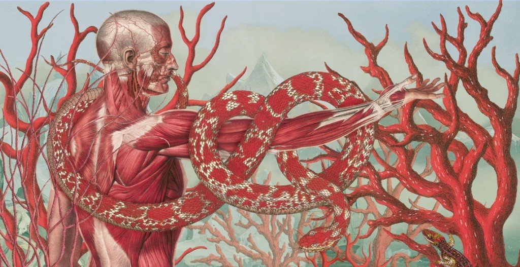 Arte anatómico de Juan Gatti