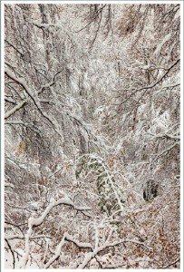 canson-transition-noticias-totenart