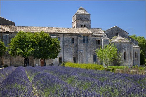 van-gogh-noticias-totenart-01-Saint-Rémy-de-Provence