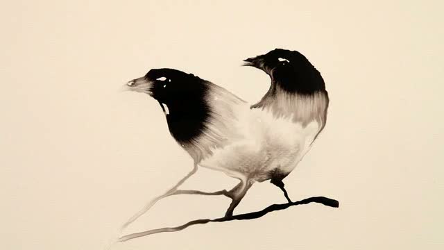 water-ink-pajaros-noticias-totenart