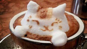 latte-art-3D-gato-totenart