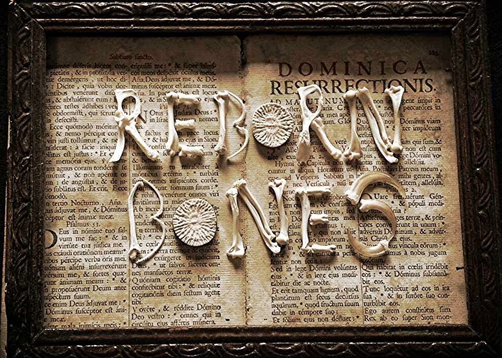 reborn-bones-noticias-totenart