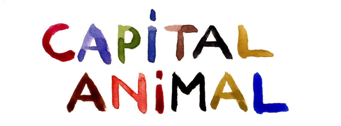 Valencia Capital Animal, la propuesta del mes