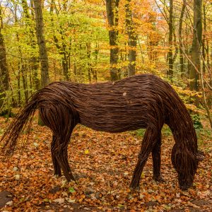 totenart-anna-willow