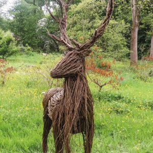 totenart-anna-willow