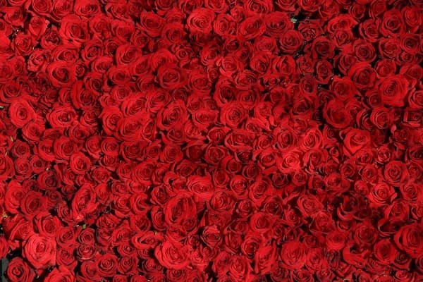 El color rojo en la historia 1 totenart-color-rojo-pasión
