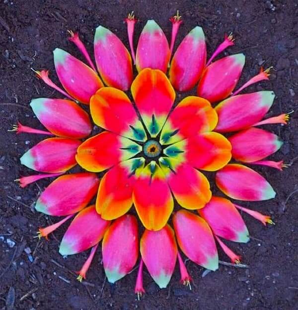 totenart-mandalas-de-flores