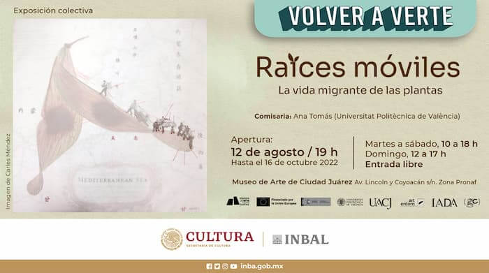 raices-moviles-volver-a-verte