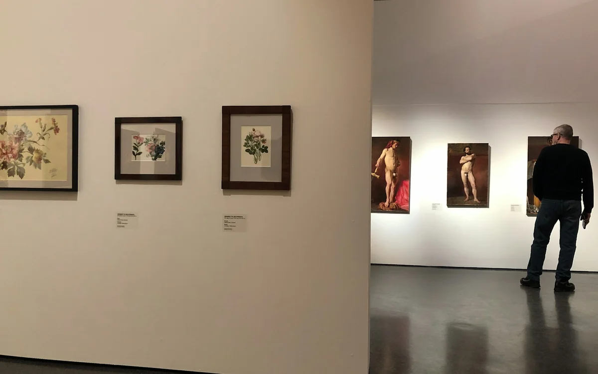 Hombre contemplando una pared con cuadros en una galería de arte – Totenart