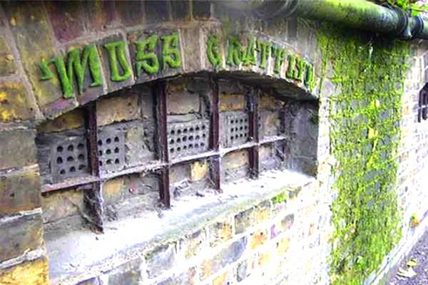 musgo-moss-graffiti-totenart